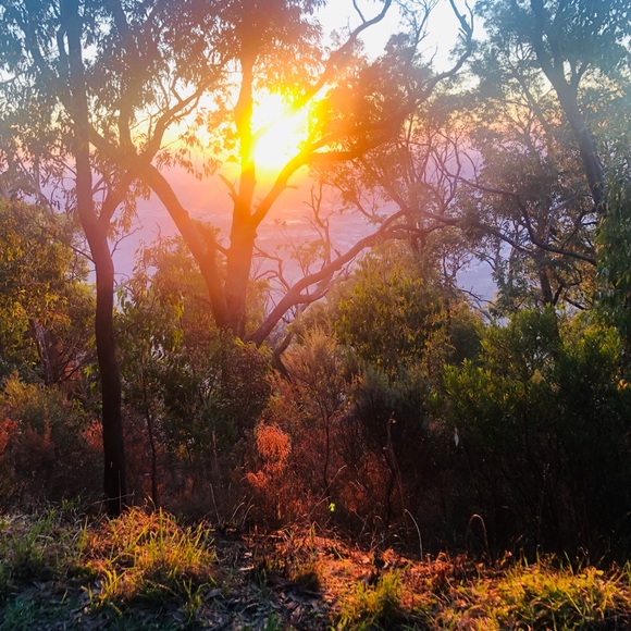 Meet your Posh Ambassador, Hi All πββοΈ - Picture 6 of 10